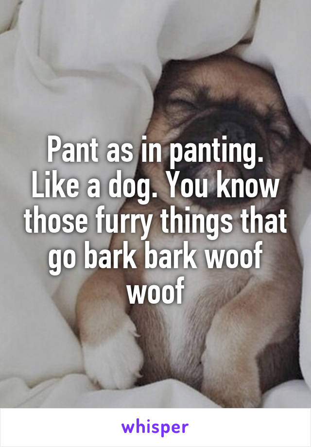 Pant as in panting. Like a dog. You know those furry things that go bark bark woof woof