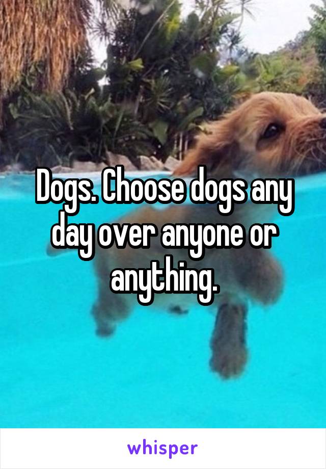 Dogs. Choose dogs any day over anyone or anything.
