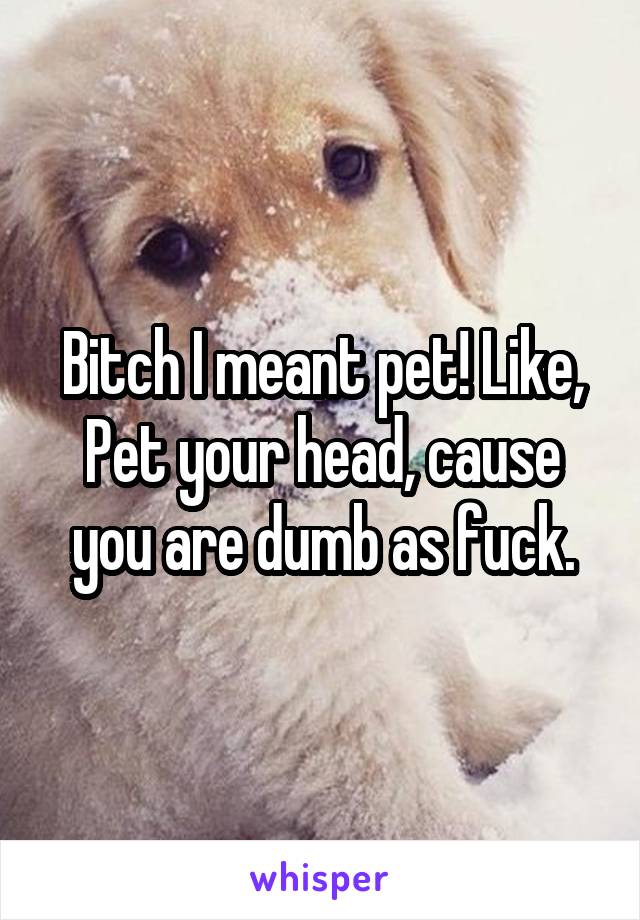 Bitch I meant pet! Like, Pet your head, cause you are dumb as fuck.