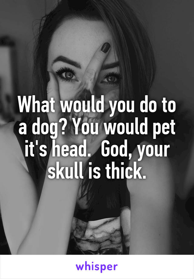 What would you do to a dog? You would pet it's head.  God, your skull is thick.