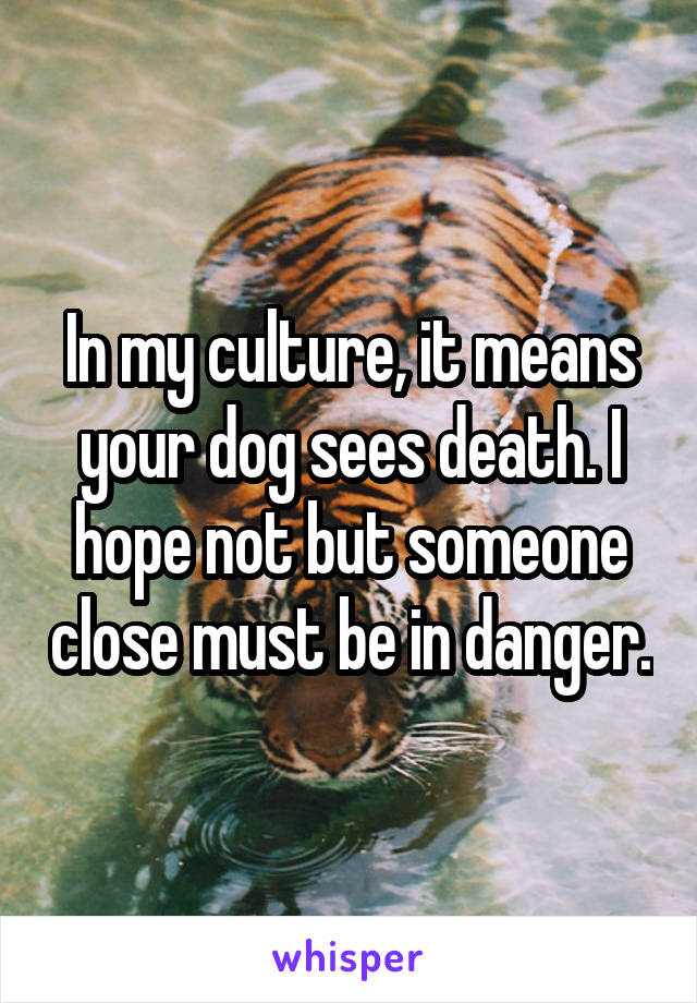 In my culture, it means your dog sees death. I hope not but someone close must be in danger.