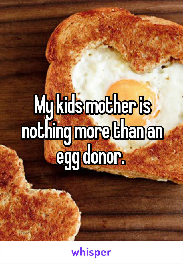 My kids mother is nothing more than an egg donor. 