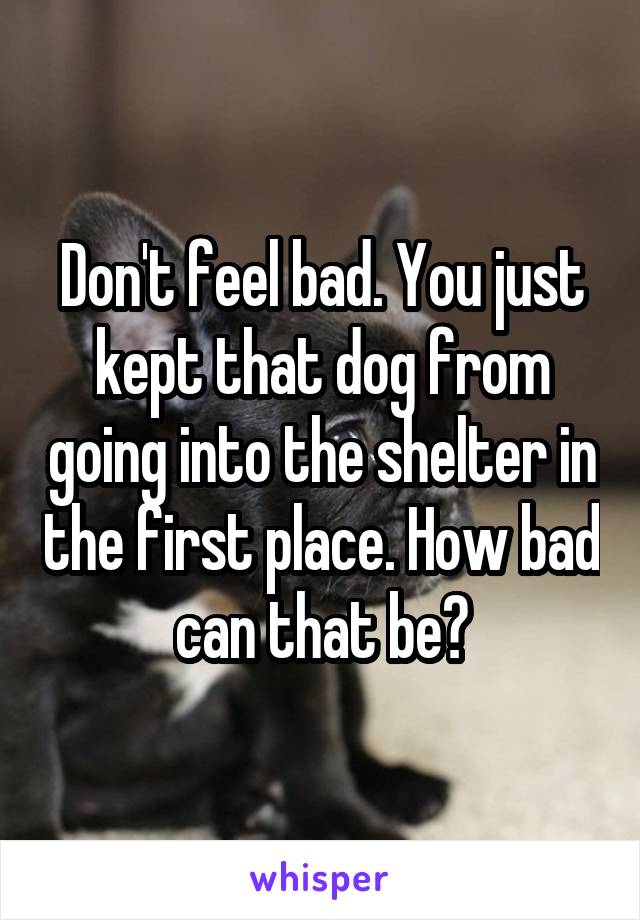Don't feel bad. You just kept that dog from going into the shelter in the first place. How bad can that be?
