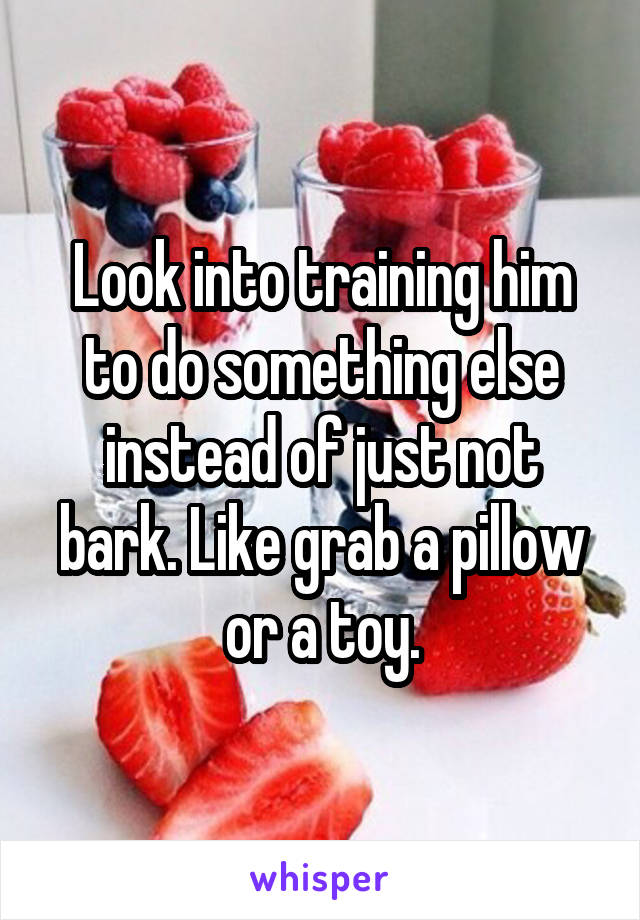 Look into training him to do something else instead of just not bark. Like grab a pillow or a toy.