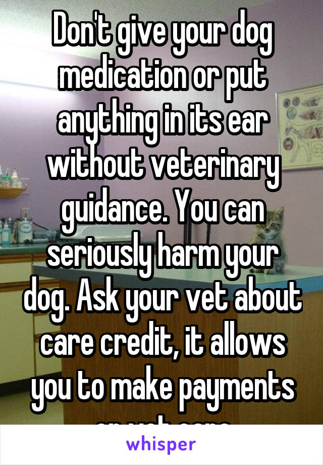 Don't give your dog medication or put anything in its ear without veterinary guidance. You can seriously harm your dog. Ask your vet about care credit, it allows you to make payments on vet care