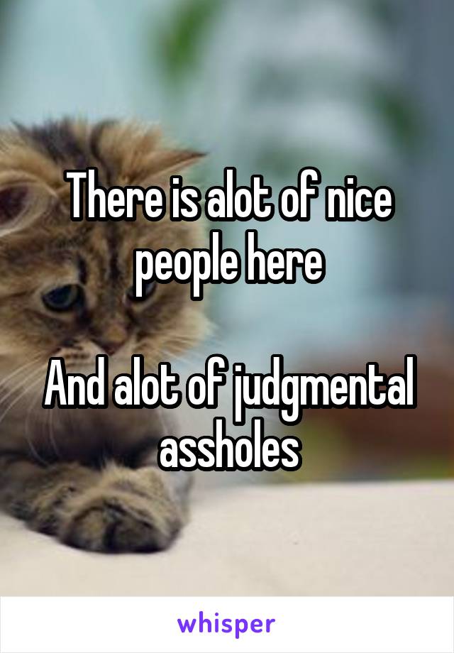 There is alot of nice people here

And alot of judgmental assholes