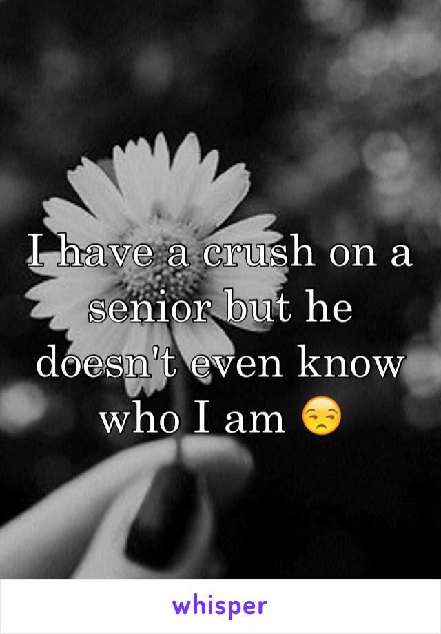I have a crush on a senior but he doesn't even know who I am 😒