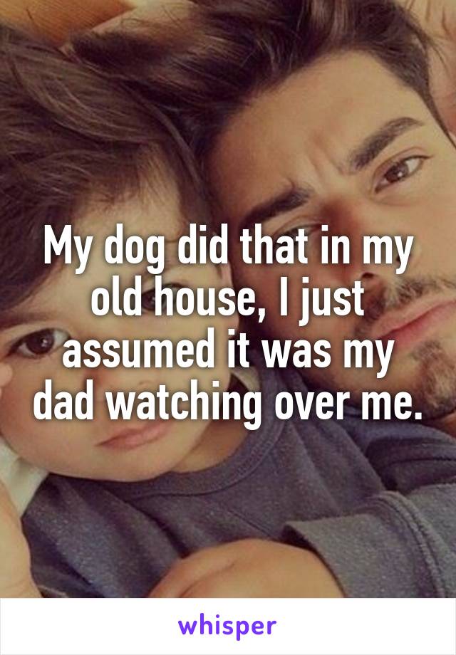 My dog did that in my old house, I just assumed it was my dad watching over me.