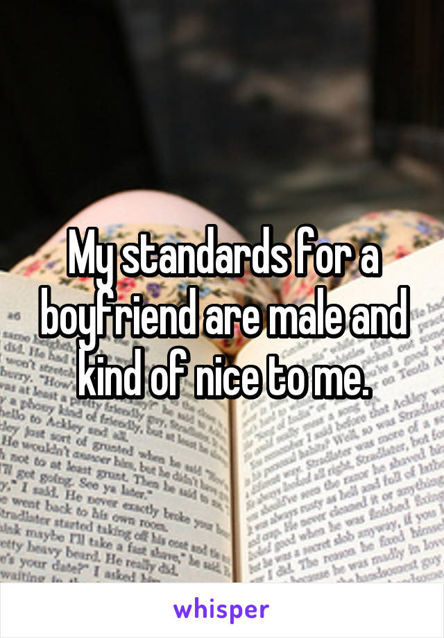 My standards for a boyfriend are male and kind of nice to me.