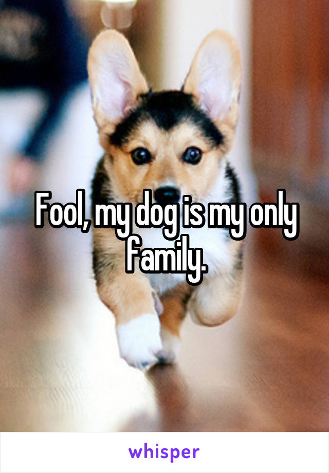 Fool, my dog is my only family.