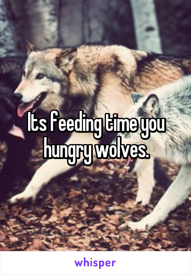 Its feeding time you hungry wolves.