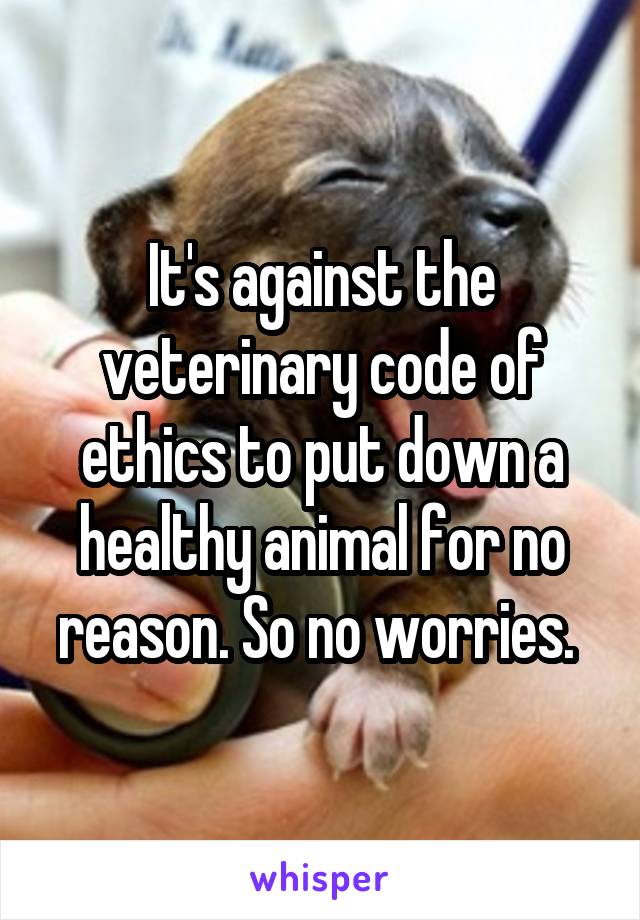 It's against the veterinary code of ethics to put down a healthy animal for no reason. So no worries. 