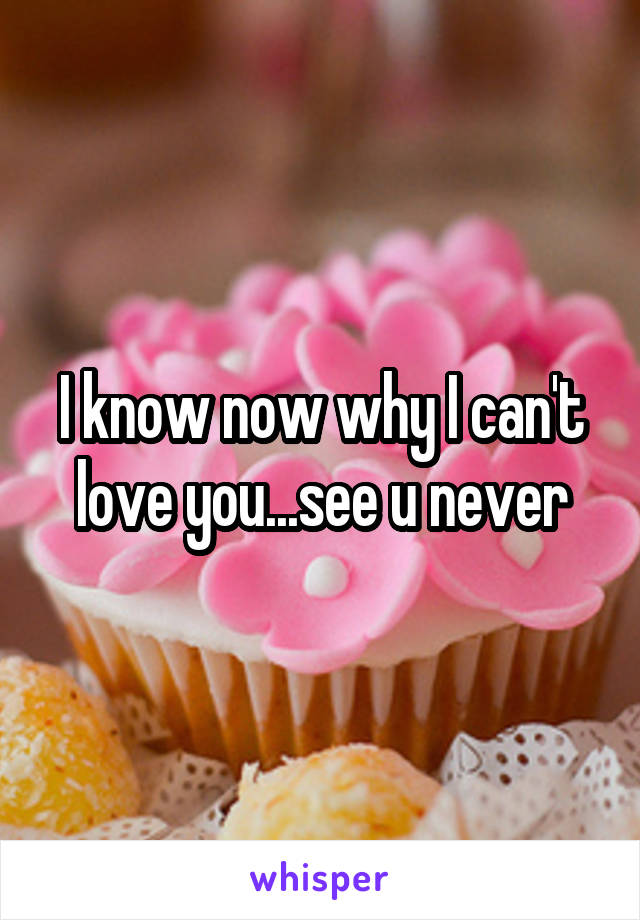 I know now why I can't love you...see u never