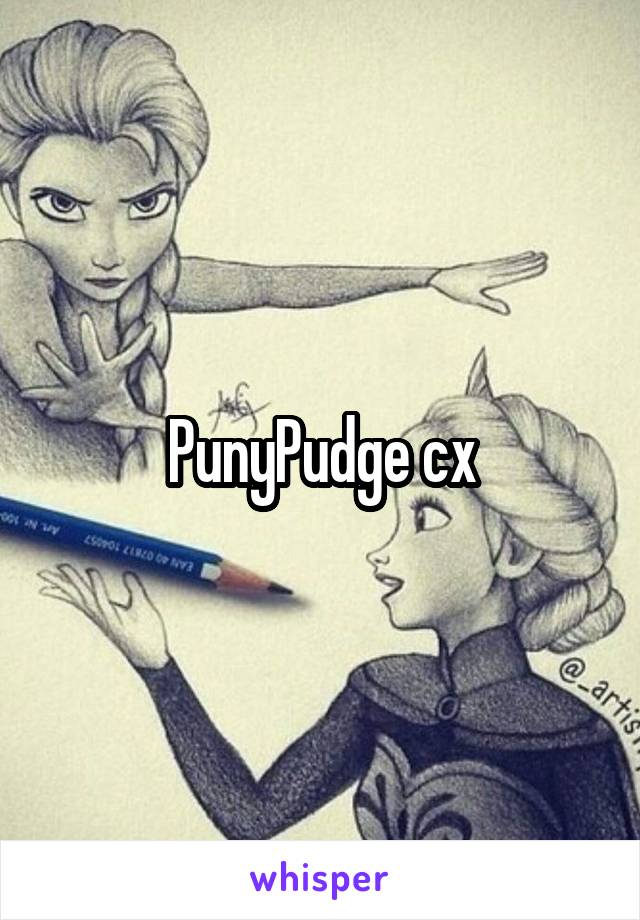 PunyPudge cx