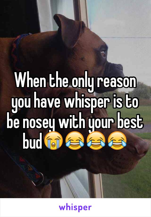 When the only reason you have whisper is to be nosey with your best bud😭😂😂😂