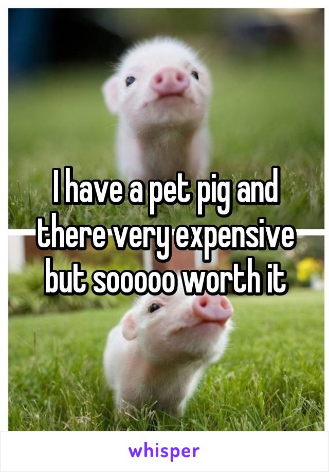 I have a pet pig and there very expensive but sooooo worth it