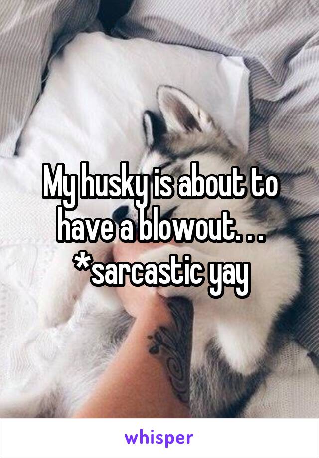 My husky is about to have a blowout. . . *sarcastic yay
