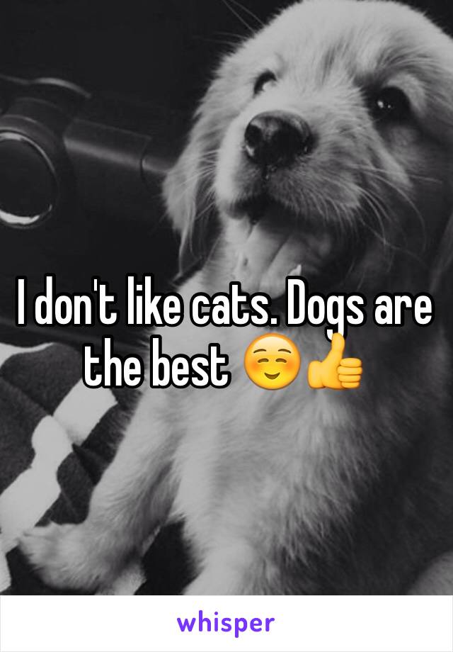 I don't like cats. Dogs are the best ☺️👍