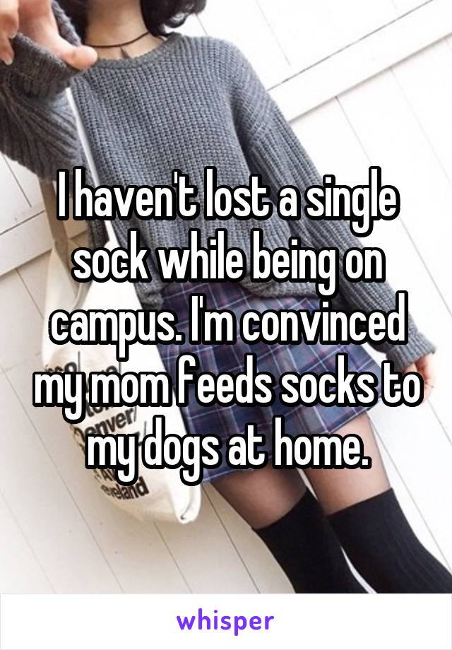 I haven't lost a single sock while being on campus. I'm convinced my mom feeds socks to my dogs at home.