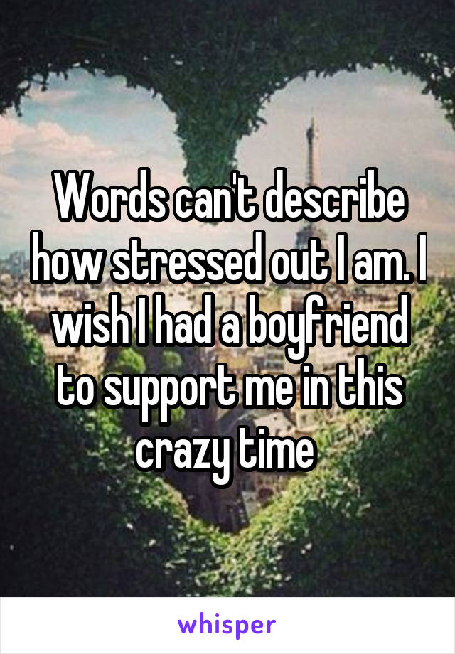 Words can't describe how stressed out I am. I wish I had a boyfriend to support me in this crazy time 