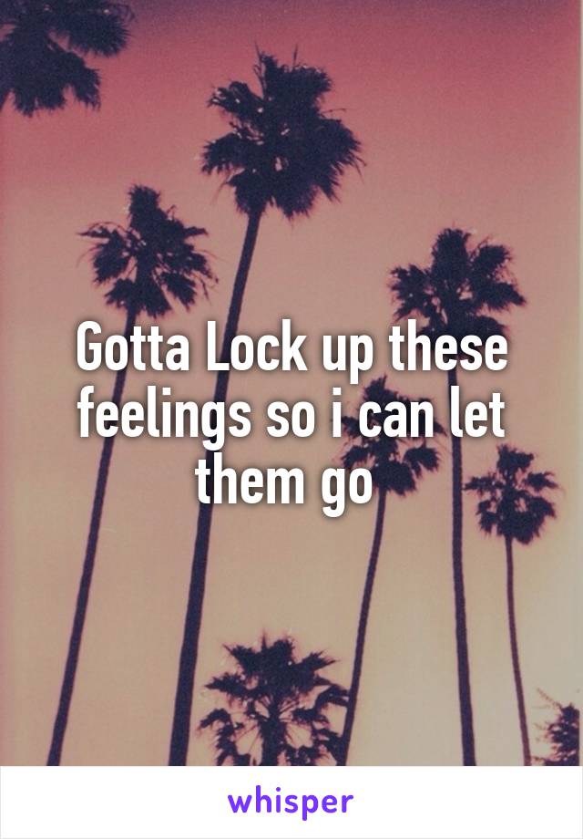 Gotta Lock up these feelings so i can let them go 