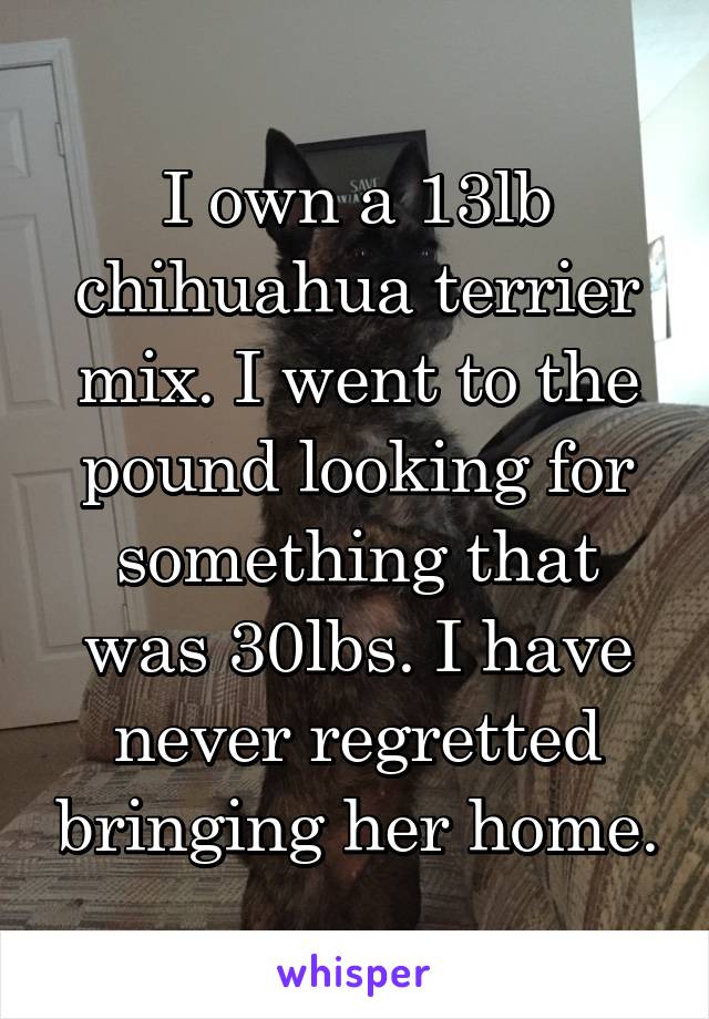 I own a 13lb chihuahua terrier mix. I went to the pound looking for something that was 30lbs. I have never regretted bringing her home.