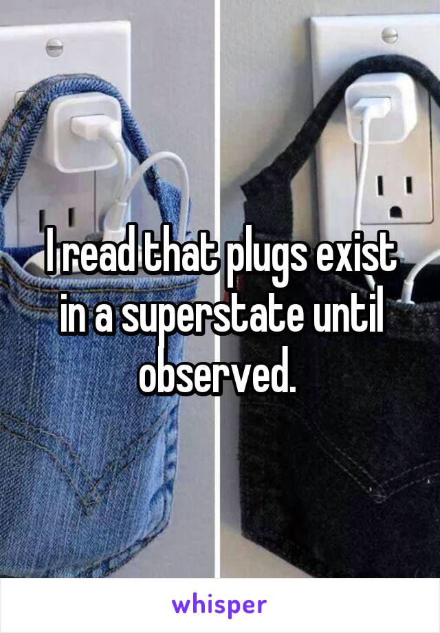 I read that plugs exist in a superstate until observed. 