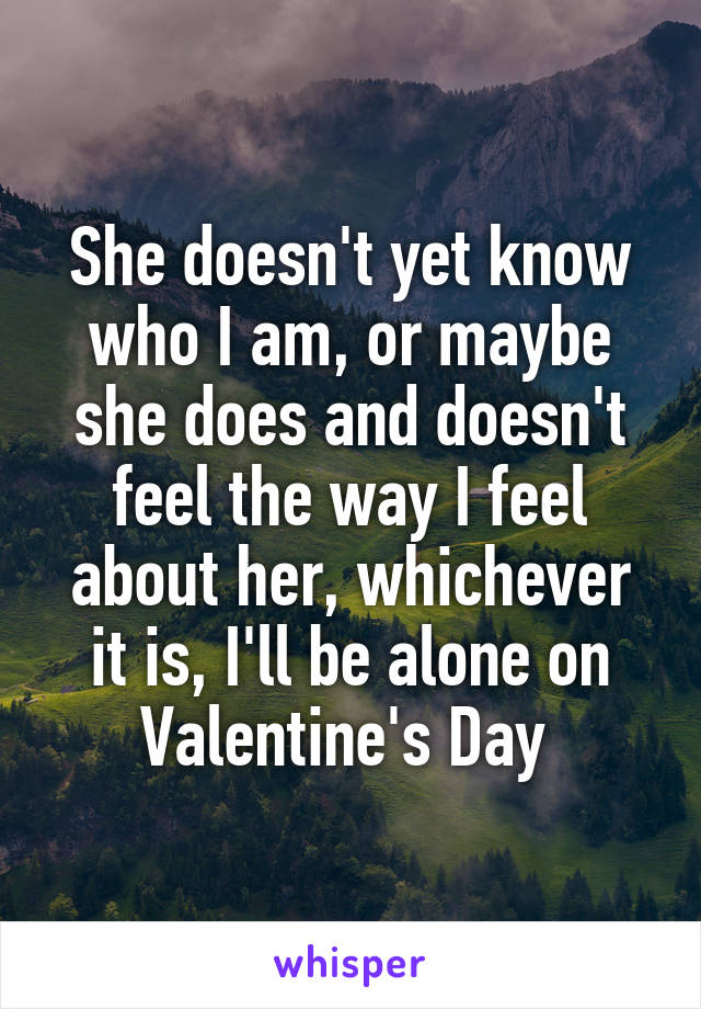 She doesn't yet know who I am, or maybe she does and doesn't feel the way I feel about her, whichever it is, I'll be alone on Valentine's Day 
