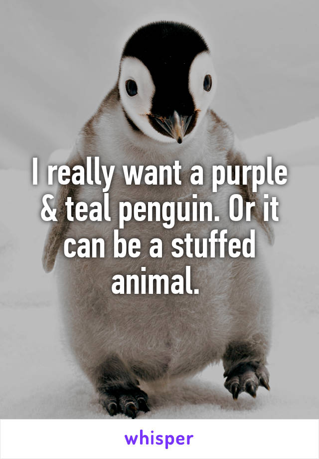 I really want a purple & teal penguin. Or it can be a stuffed animal. 
