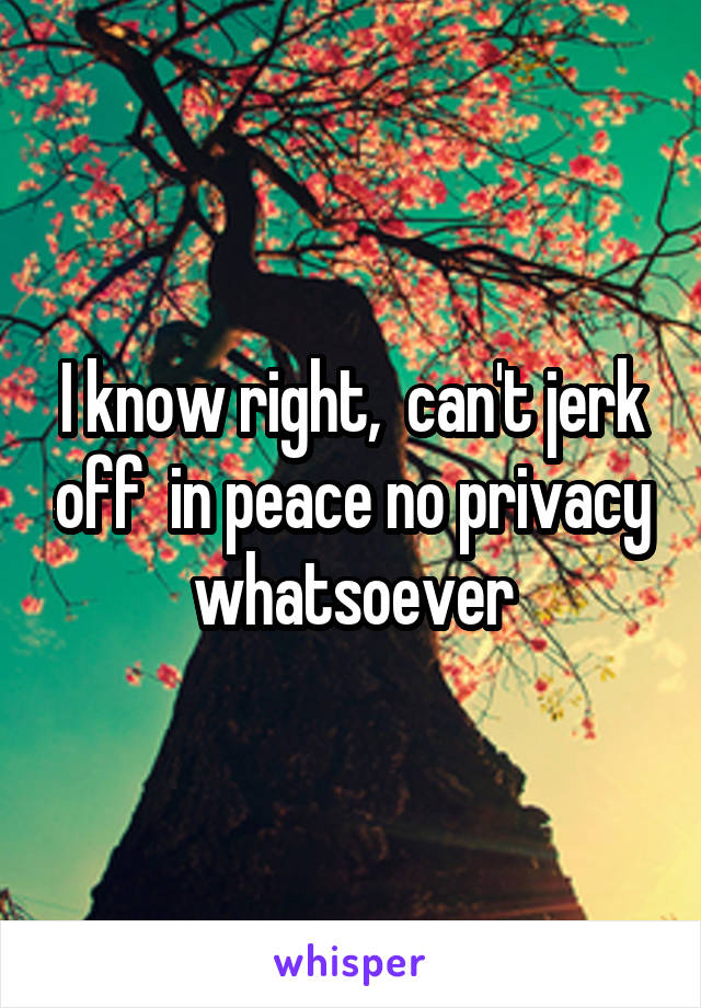 I know right,  can't jerk off  in peace no privacy whatsoever