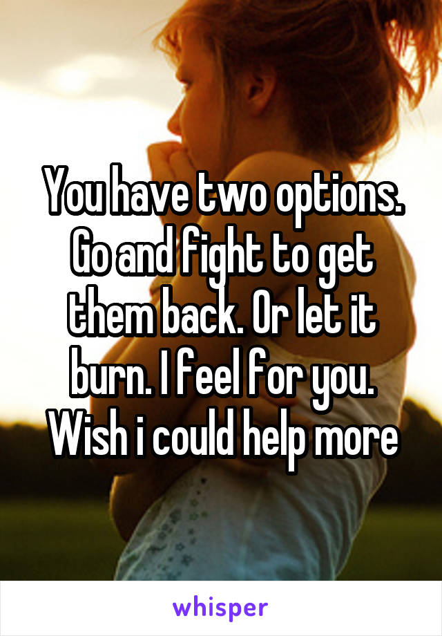 You have two options. Go and fight to get them back. Or let it burn. I feel for you. Wish i could help more