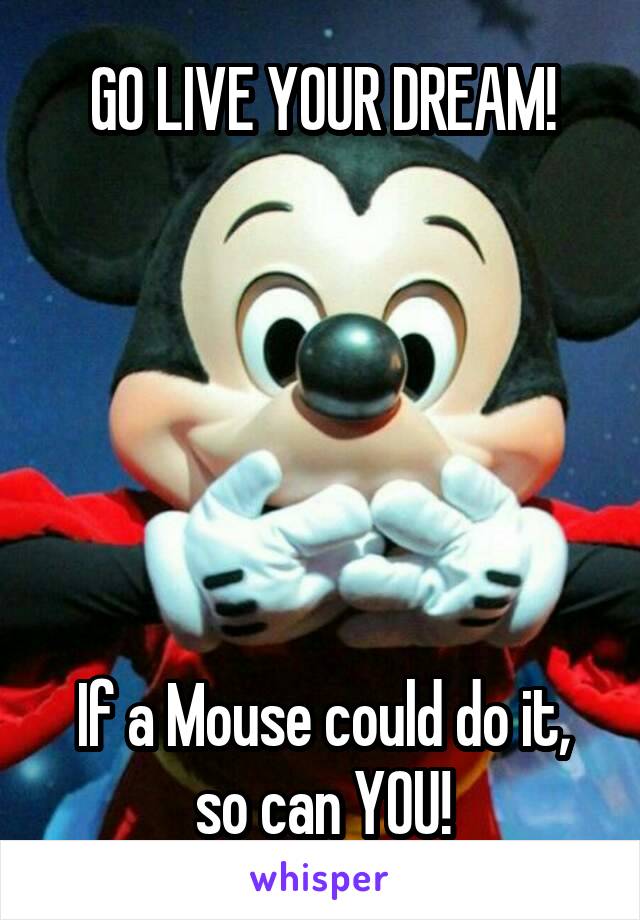 GO LIVE YOUR DREAM!






If a Mouse could do it, so can YOU!