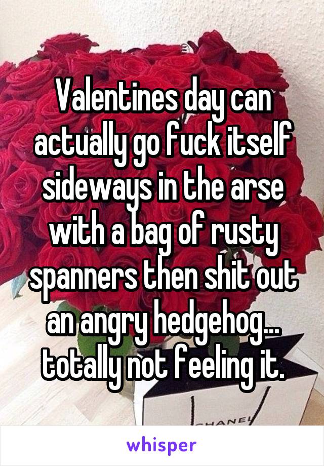 Valentines day can actually go fuck itself sideways in the arse with a bag of rusty spanners then shit out an angry hedgehog... totally not feeling it.
