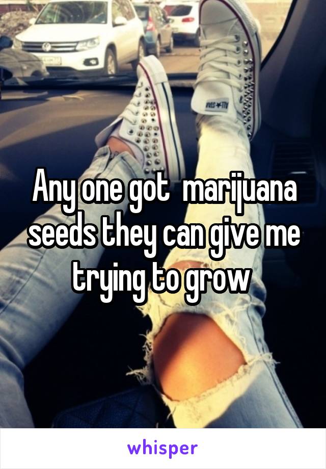 Any one got  marijuana seeds they can give me trying to grow 
