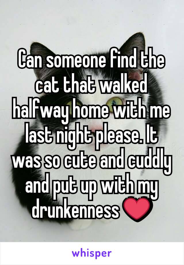 Can someone find the cat that walked halfway home with me last night please. It was so cute and cuddly and put up with my drunkenness ❤