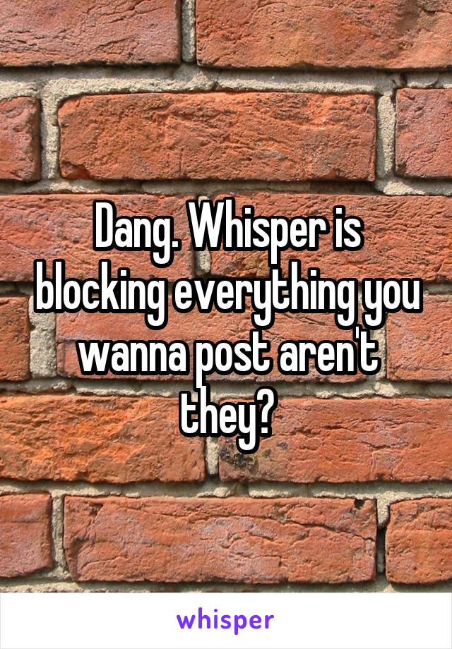 Dang. Whisper is blocking everything you wanna post aren't they?