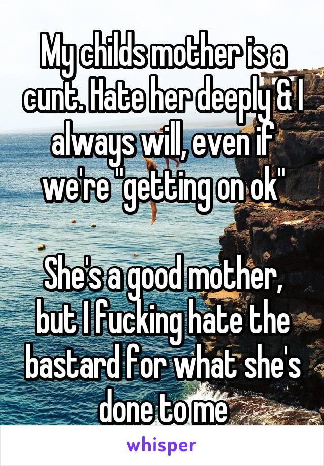 My childs mother is a cunt. Hate her deeply & I always will, even if we're "getting on ok"

She's a good mother, but I fucking hate the bastard for what she's done to me