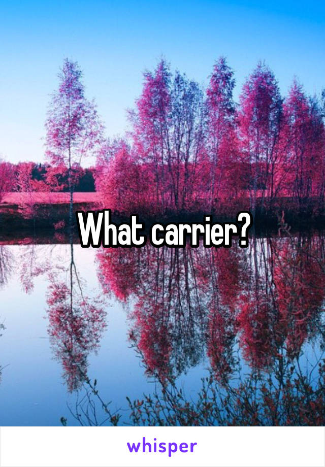 What carrier?