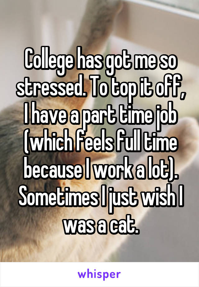 College has got me so stressed. To top it off, I have a part time job (which feels full time because I work a lot). Sometimes I just wish I was a cat.