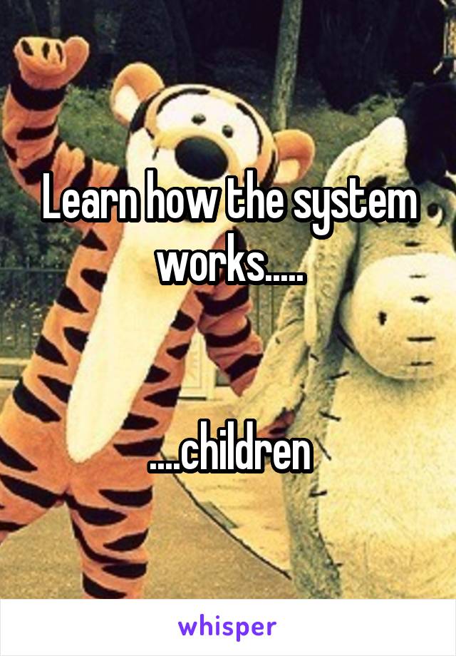 Learn how the system works.....


....children