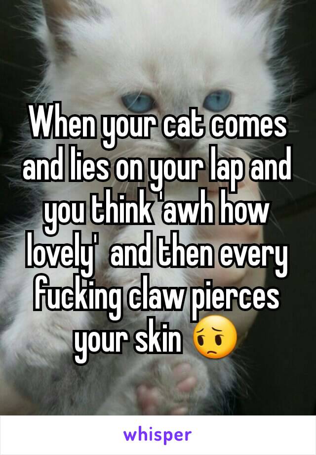 When your cat comes and lies on your lap and you think 'awh how lovely'  and then every fucking claw pierces your skin 😔