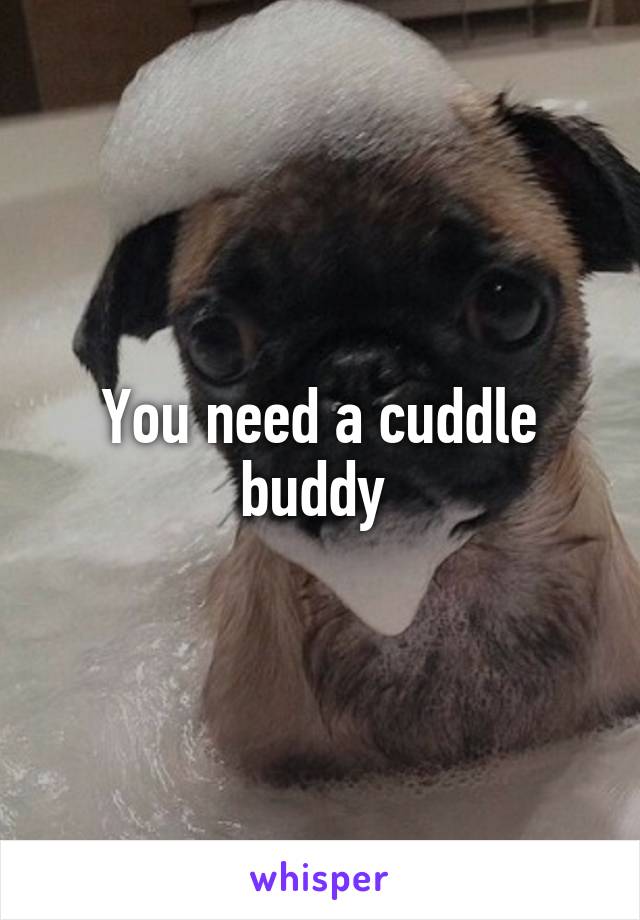 You need a cuddle buddy 