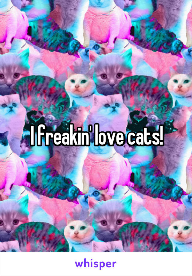 I freakin' love cats!