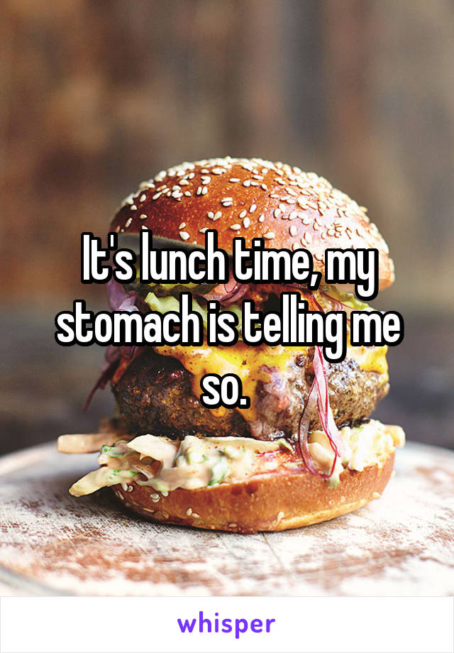 It's lunch time, my stomach is telling me so. 