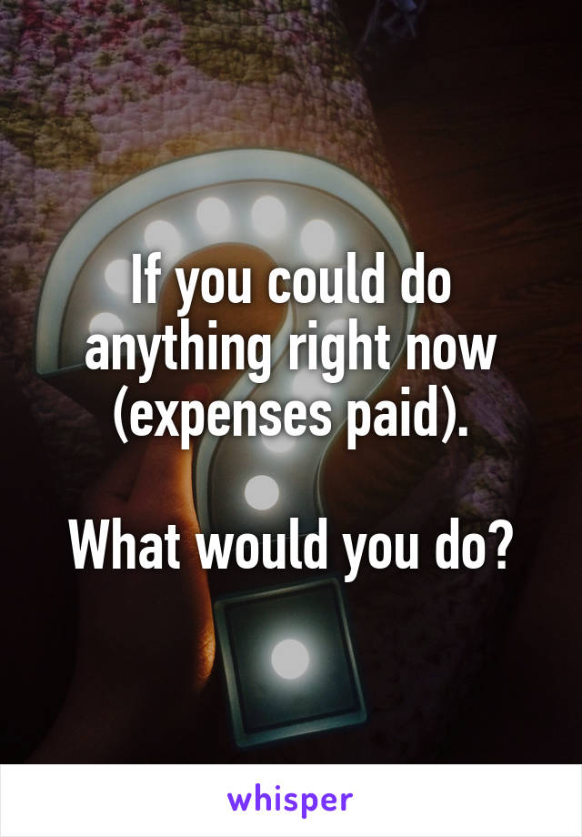 If you could do anything right now (expenses paid).

What would you do?
