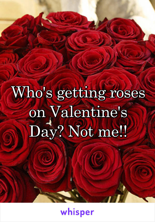 Who's getting roses on Valentine's Day? Not me!!