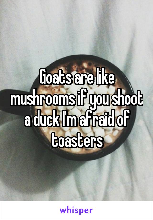 Goats are like mushrooms if you shoot a duck I'm afraid of toasters