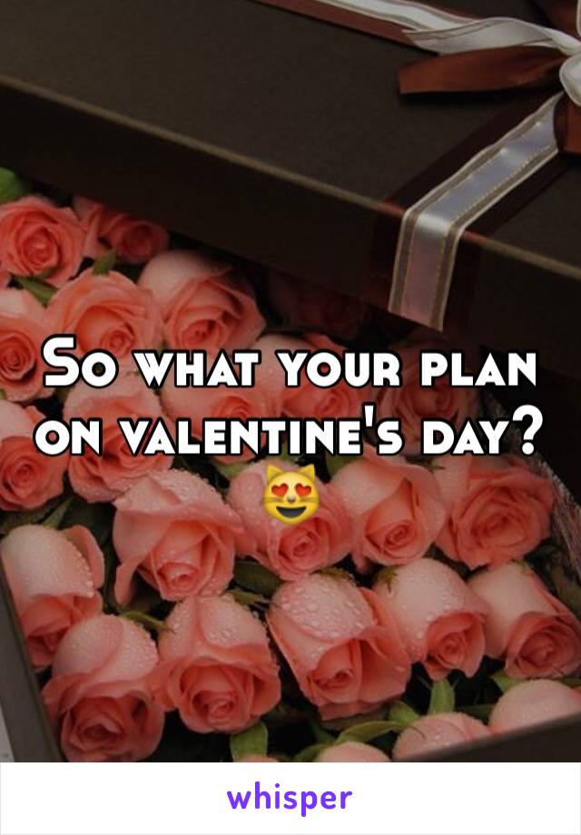 So what your plan on valentine's day? 😻
