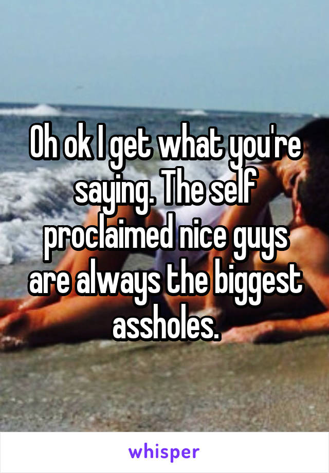 Oh ok I get what you're saying. The self proclaimed nice guys are always the biggest assholes.