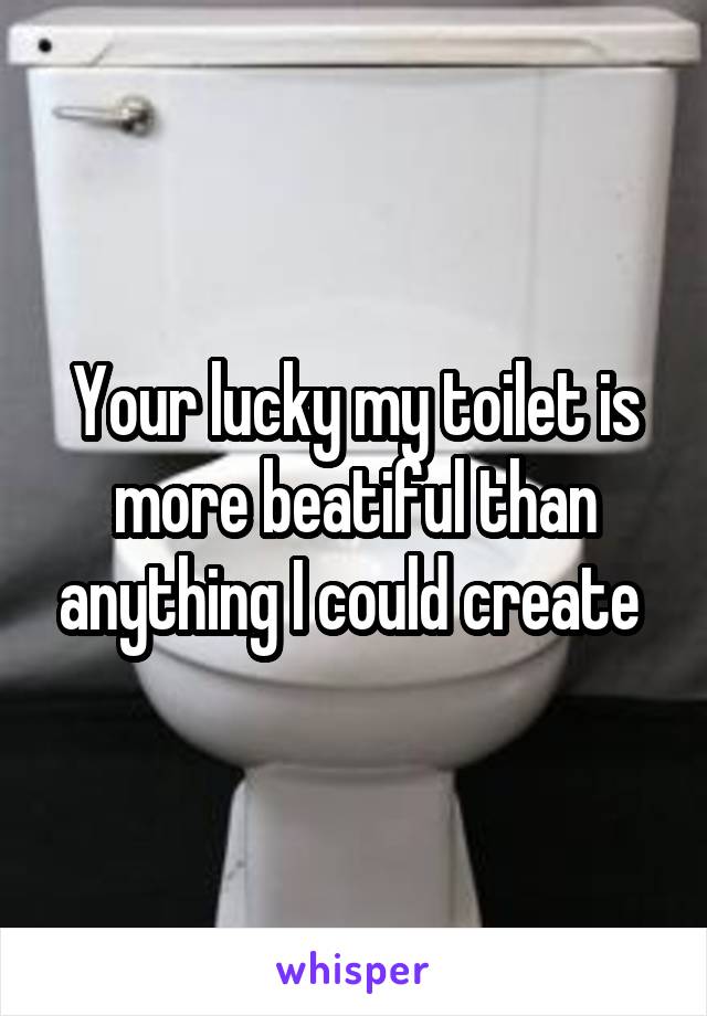 Your lucky my toilet is more beatiful than anything I could create 